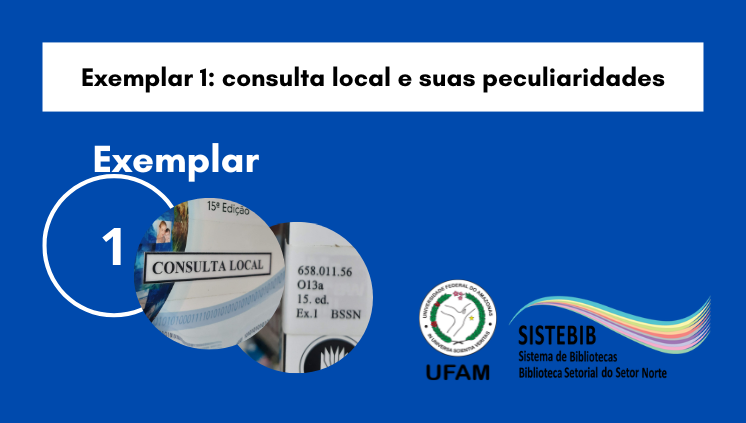 Exemplar 1: consulta local e suas peculiaridades